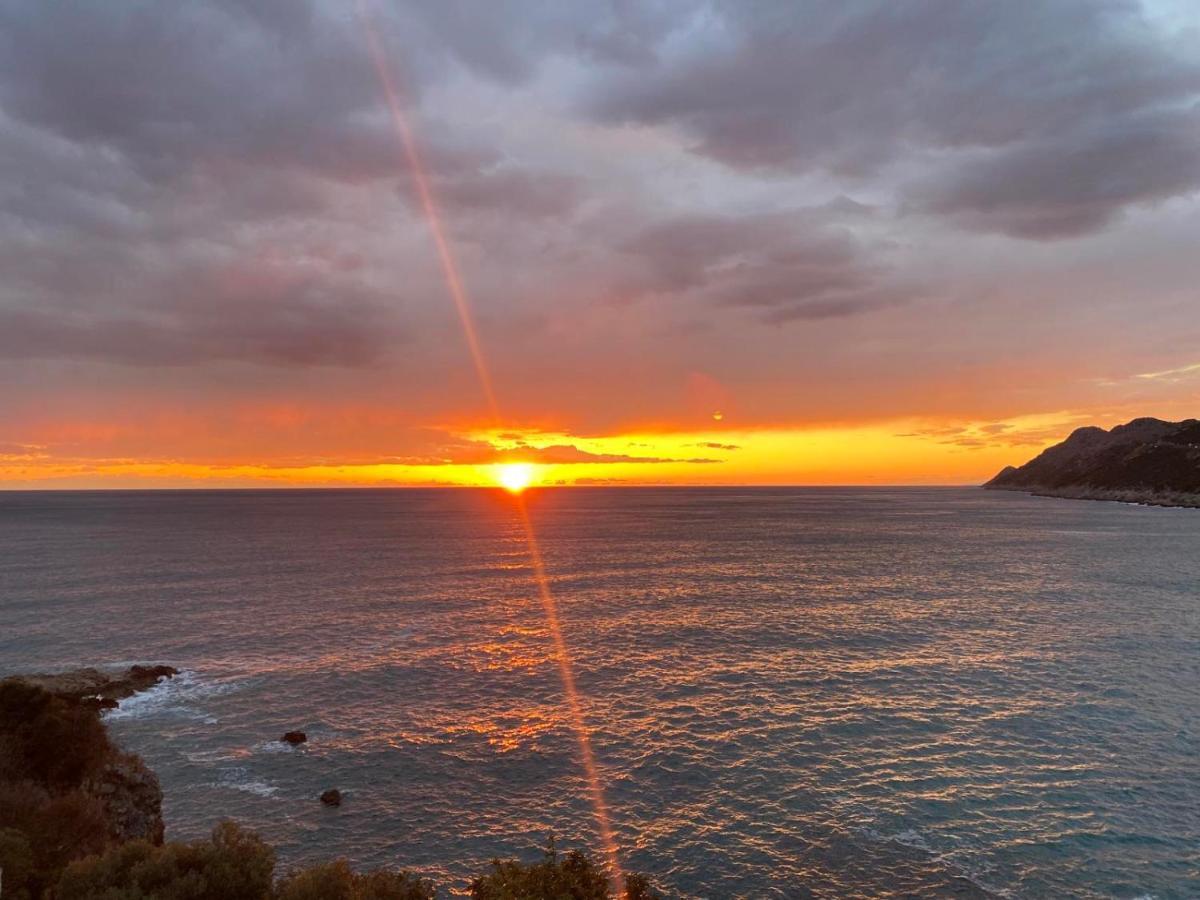 Villa Blue Bay Dobra Voda Bagian luar foto